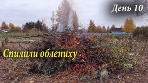 КУПИЛИ заброшенный УЧАСТОК ЗА 10 тысяч 9 серия