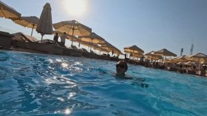 Адлер пляж мандарин