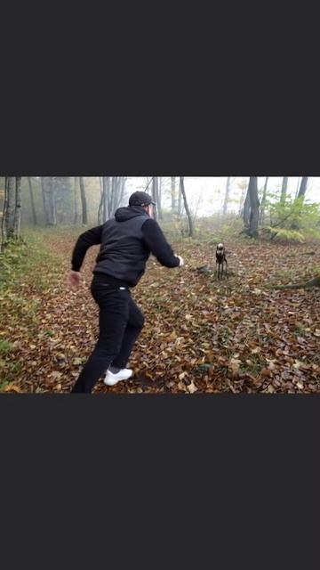 Блогер пытается поймать инопланетянена #рекомендации #видео #рутуб смотреть онлайн