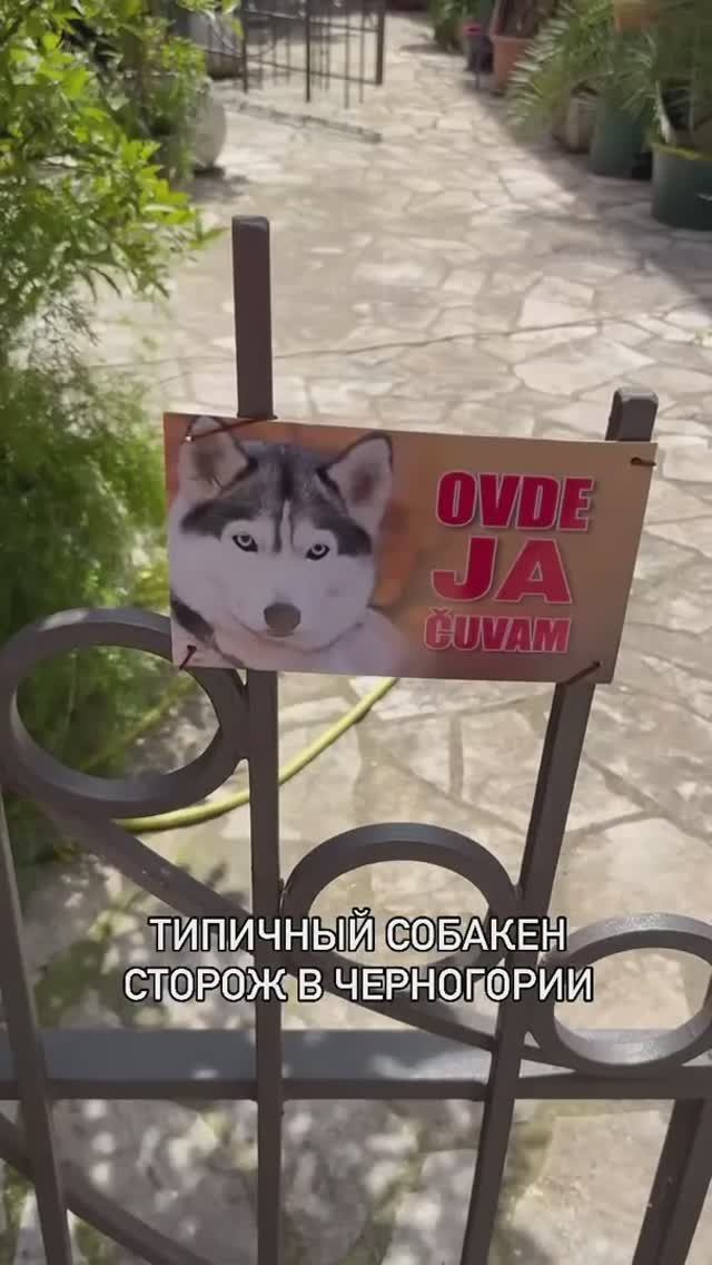 Осторожно, очень злая собака смотреть онлайн