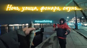 | Вечерний стрит фишинг| Ловим окуней в темноте |