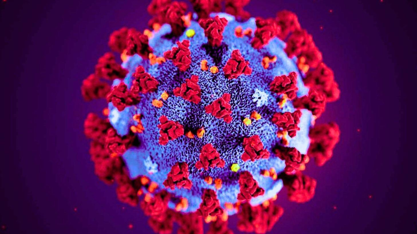 Был ли «всплеск COVID» на самом деле HERV-K — человеческим белком, ошибочно принятым за вирус? смотреть онлайн