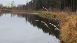 Секреты ловли карася в ноябре декабре! Как на что и где ловится крупный карась в ноябре декабре?