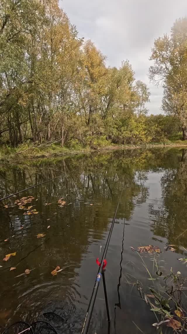 Протока "Талая". смотреть онлайн
