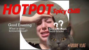 Манежный кот #смешныекоты #поржать