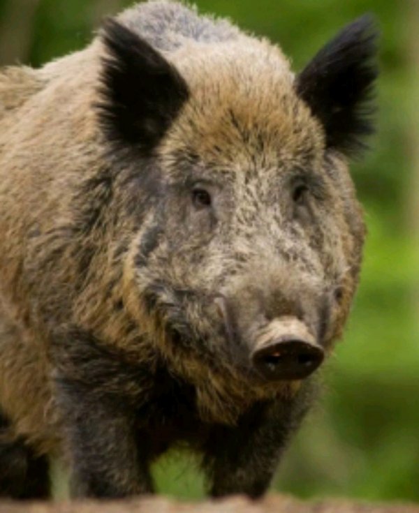 проходим Tiny Room