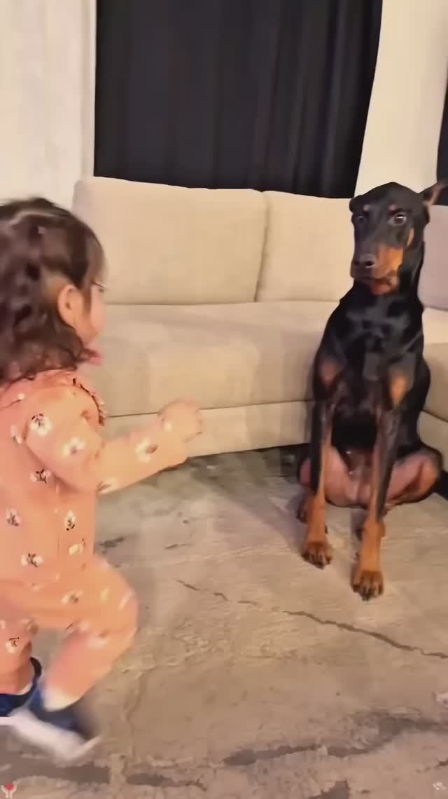 Phillies land All-Star closer Jhoan Duran ahead of MLB trade deadline 👀🔥 #JhoanDuran смотреть онлайн