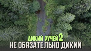 Не обязательно дикий. Дикий ручей 2 (11)
