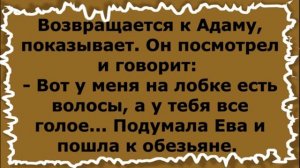 Обезьяна ей между ног потерлась...