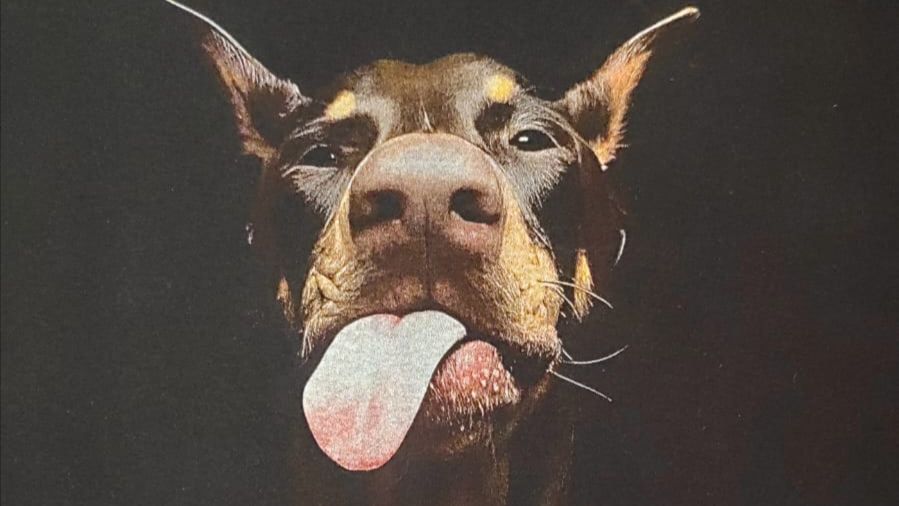 Иван, собака, шелкографию делает! смотреть онлайн