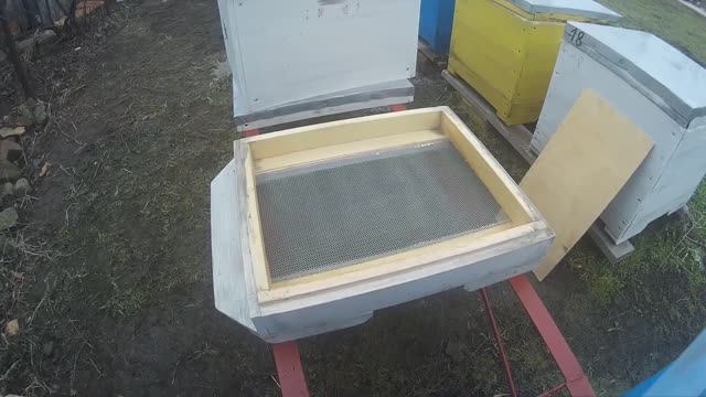 Сетчатое дно в улье мой опыт смотреть онлайн