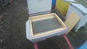 Сетчатое дно в улье мой опыт