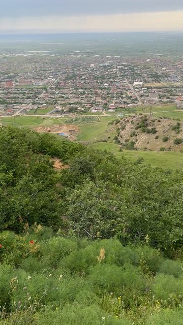 2025_05_08_15_25_IMG_1003 смотреть онлайн