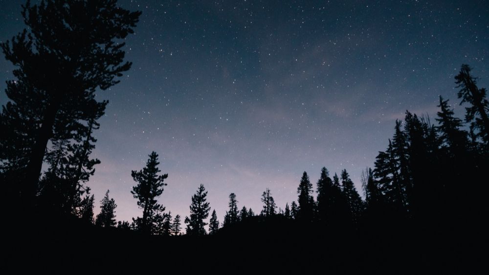 Стрекотание сверчков • Умиротворяющие Звуки Природы • Naomix.ru