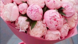 С Днем Рождения - Открытку с днем рождения женщине красивые бесплатно