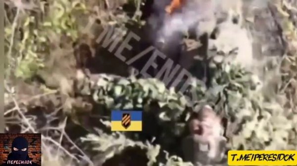 Прожарка Well done