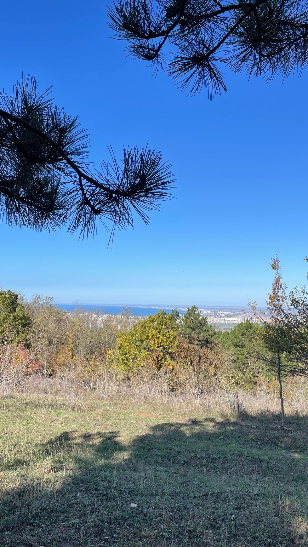 Анапа квартира у моря