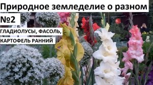 Природное земледелие о разном  №2.