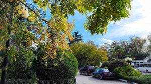 Сочная сочинская осень