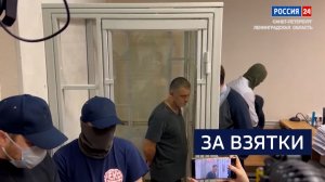 ВЕСТИ 24 Санкт-Петербург от 13.11.2025