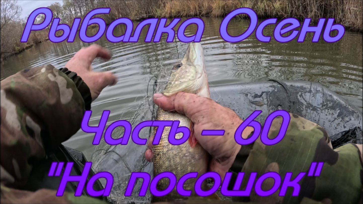 Рыбалка Осень. Часть - 60. "На посошок". смотреть онлайн
