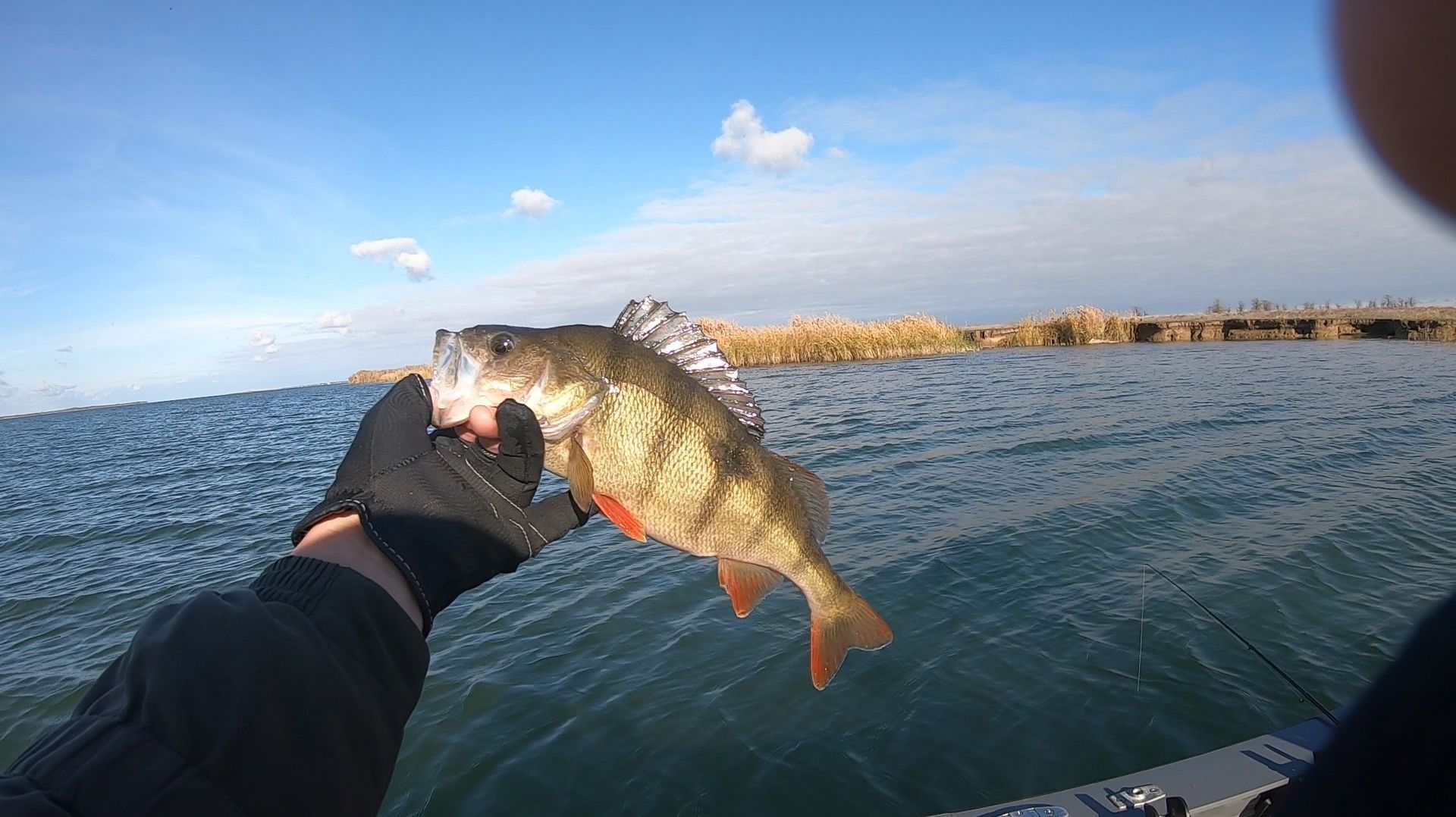 03/11/25/ Рыбалка на реке Маныч. База Закурганная.
