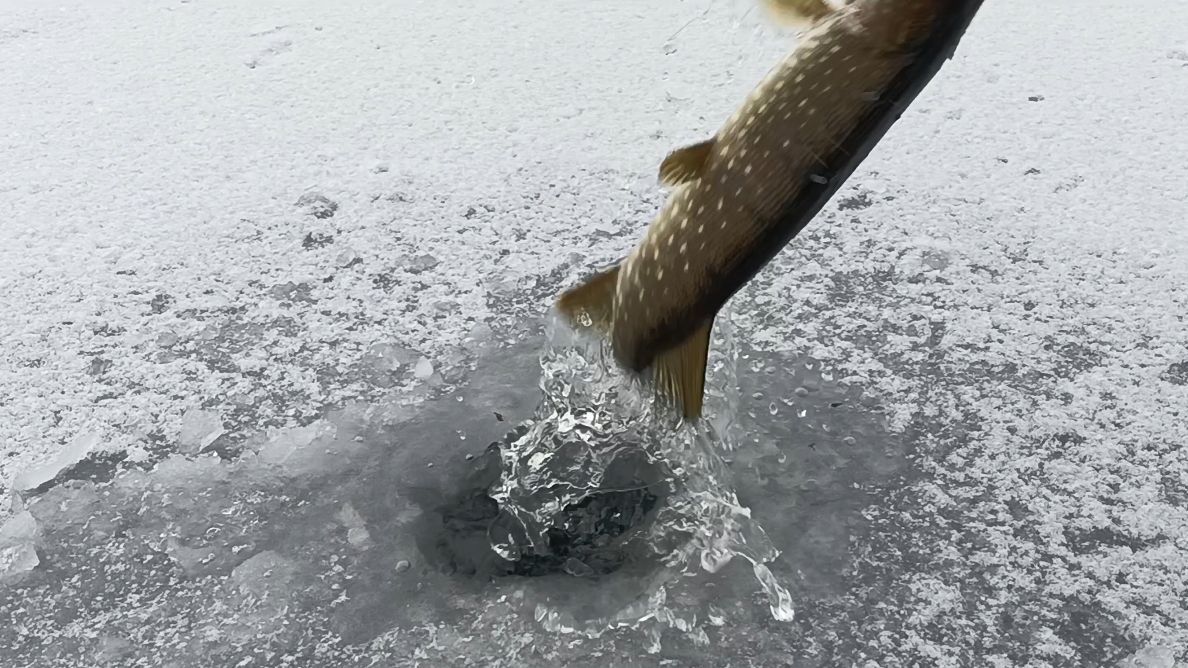 Жерлицы.Первый лёд.Мини речка у дома. смотреть онлайн