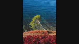 Погрузитесь в осеннюю сказку Геленджика 2025