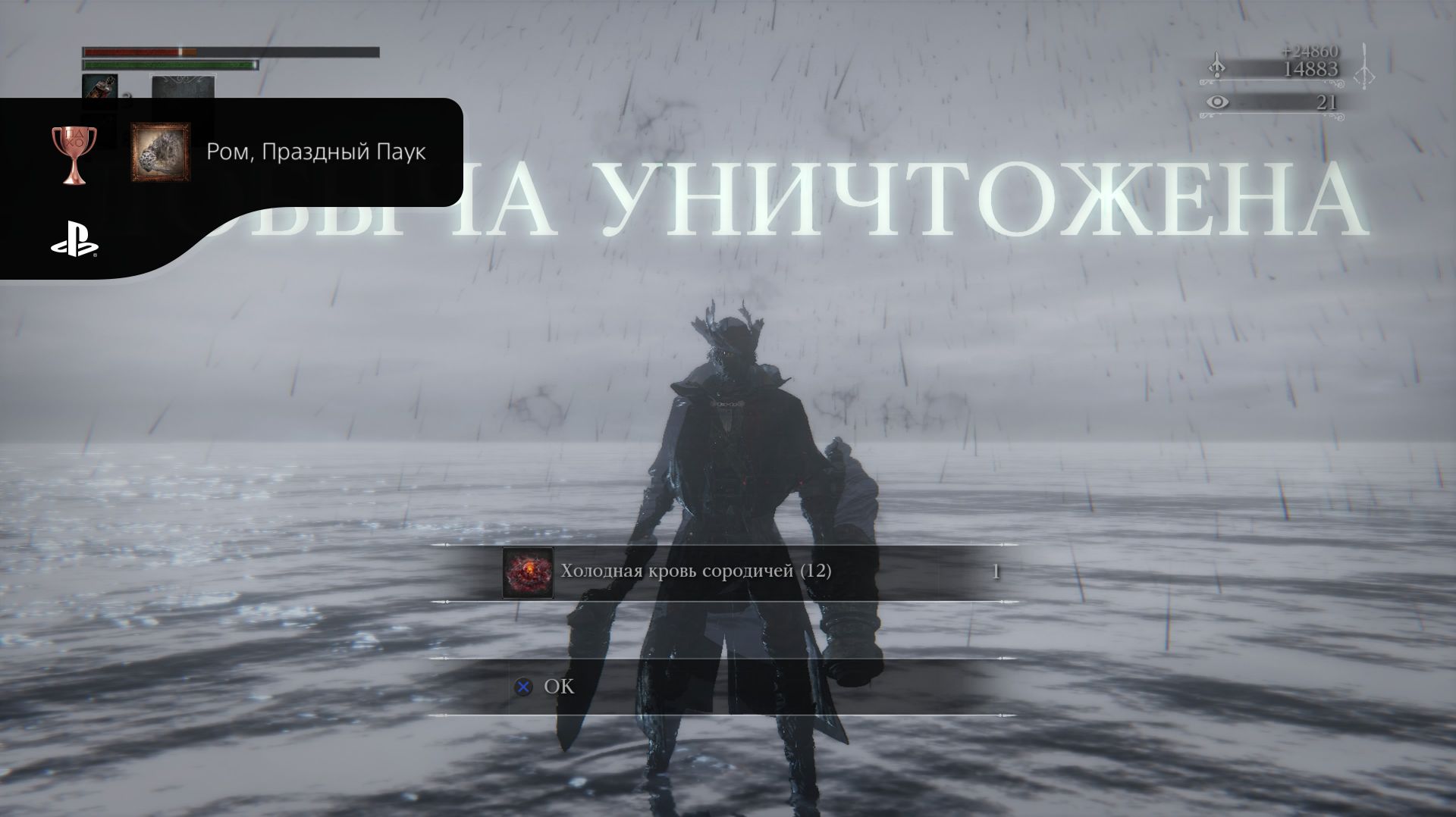 Bloodborne Ром, Праздный Паук (Секретный)