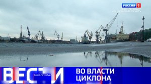 Вести Санкт-Петербург. Выпуск 11.30 от 13.11.2025