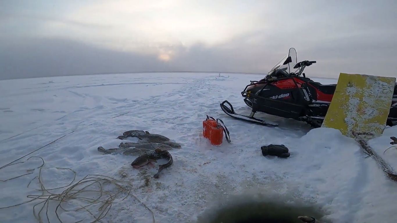 Отчёт с Енисея. Проверка перемётов на налима. 21 смотреть онлайн