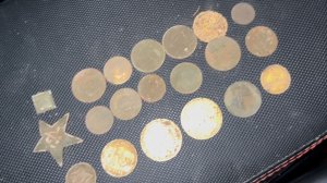 Коп в лесу на грани осени