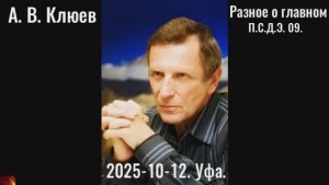 R19. А. В. Клюев - Разное о главном.10-12-09. Практическая реализация. П,С,Д,Э,