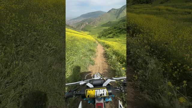 2025_05_08_14_02_IMG_0987 смотреть онлайн