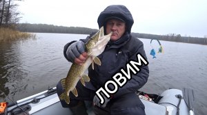 Спиннинг в ноябре с лодки.
