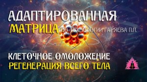 Клеточное омоложение 🌀 Адаптированная матрица  ☀️ SoftRadio.ru
