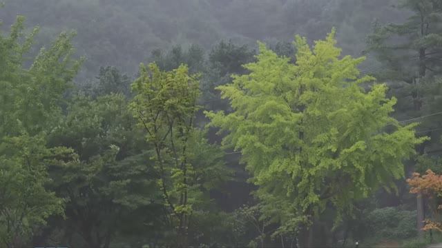 Kirin Camp ⚡КЕМПИНГ ПОД ЛИВНЕМ С УЮТНОЙ НАДУВНОЙ ПАЛАТКОЙ смотреть онлайн