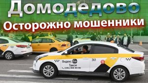 Мошенники из ДОМОДЕДОВО. Путевые листы. Беспилотники. Новости. Бородач