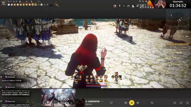 Глаз и Страж / PvPvE / Black Desert