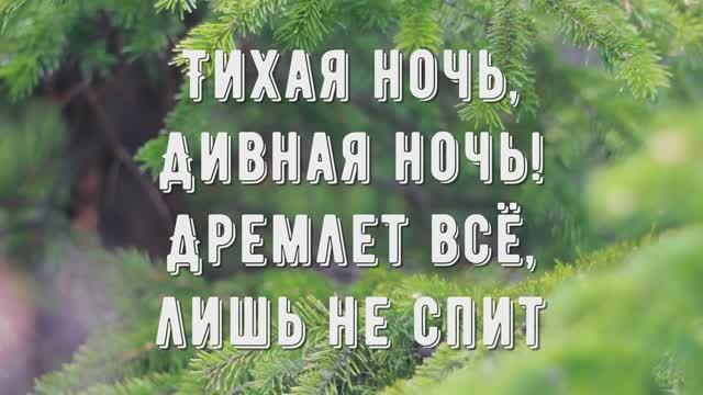 Тихая ночь - минус мой 1 смотреть онлайн