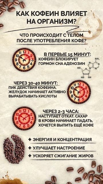 Про ЭТО влияние КОФЕ на наш организм НИКТО не знает! #здоровье #кофе #организм смотреть онлайн