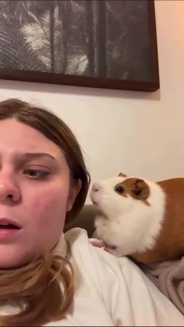 Вот это новость! 😁😁😁 смотреть онлайн