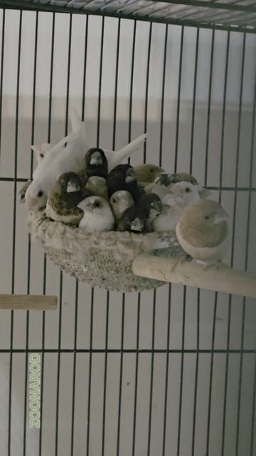 Тв да я, да мы с тобой