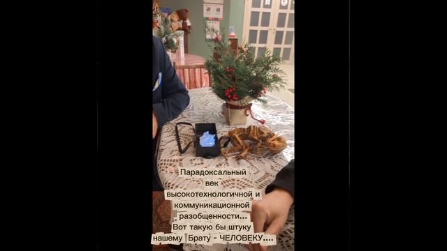 World Art Gallery BrART