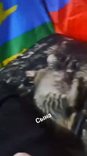 Боец! смотреть онлайн