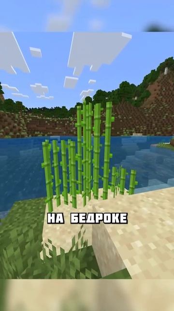 ОТЛИЧИЯ ТРОСТНИКА Н А ДЖАВЕ И БЕДРОКЕ #shorts смотреть онлайн