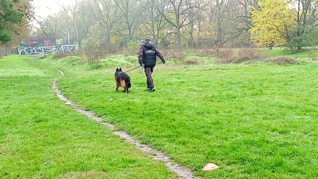 2. выражено/пож ЛЕРУА МАДЛЕН МАЙБАХ (Леруа Мадлен Максимус – Whitebrant Genera) смотреть онлайн