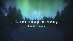 Снегопад в лесу. Фон без звука.