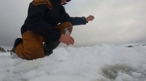 Первый лёд 2025-2026 г! Открыл сезон первого льда! Отличная рыбалка! Эмоции писец..