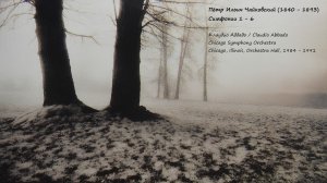 Пётр Ильич Чайковский (1840-1893). Симфонии и оркестровые произведения. CD3